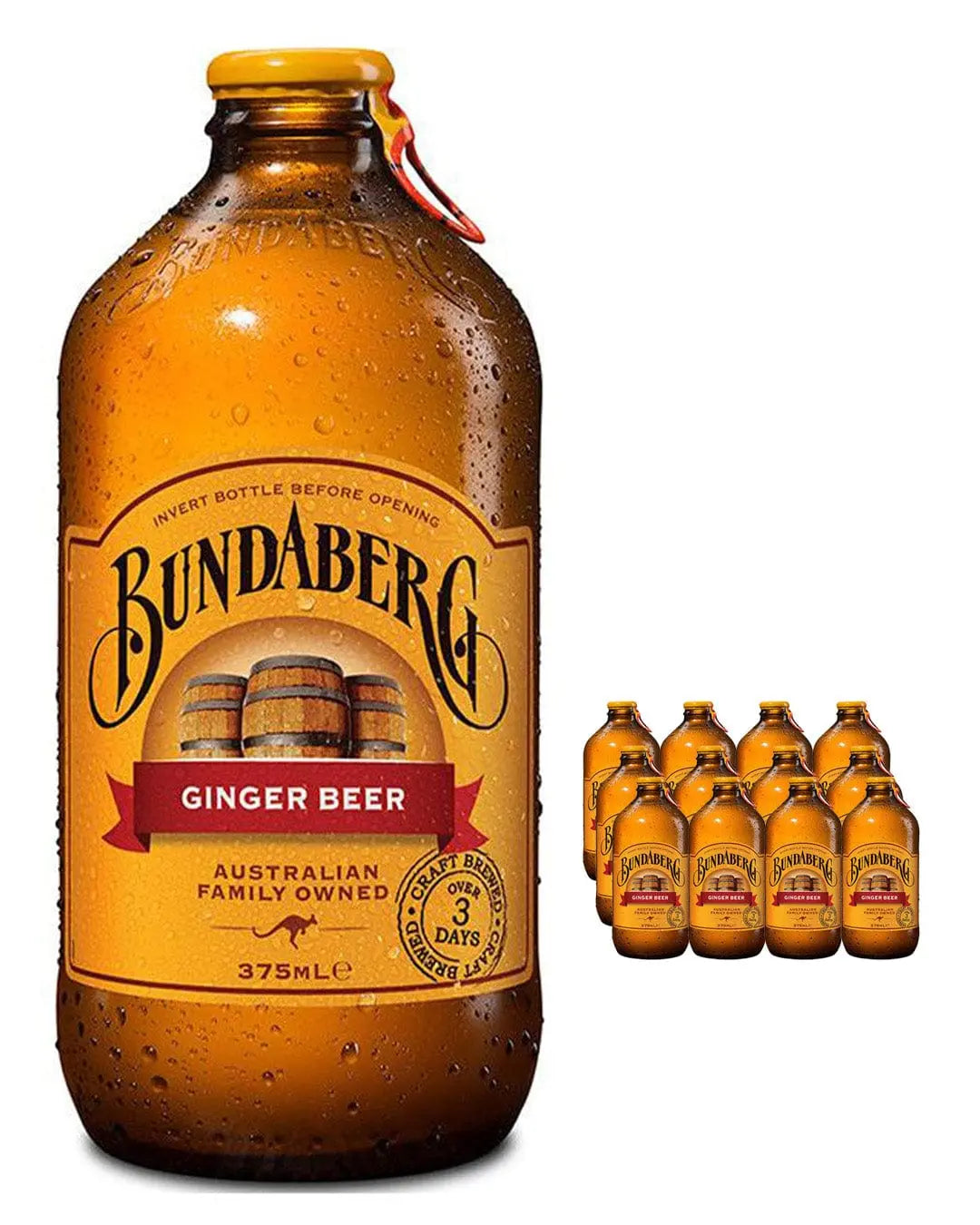 Bundaberg Ginger Beer Multipack, 12 x 375 ml – The Bottle Club