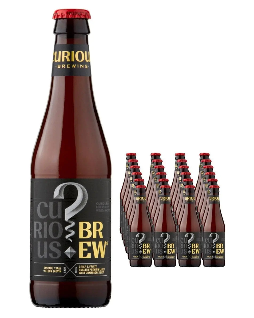 Curious Brew Lager Bottle Multipack, 12 x 330 ml Beer