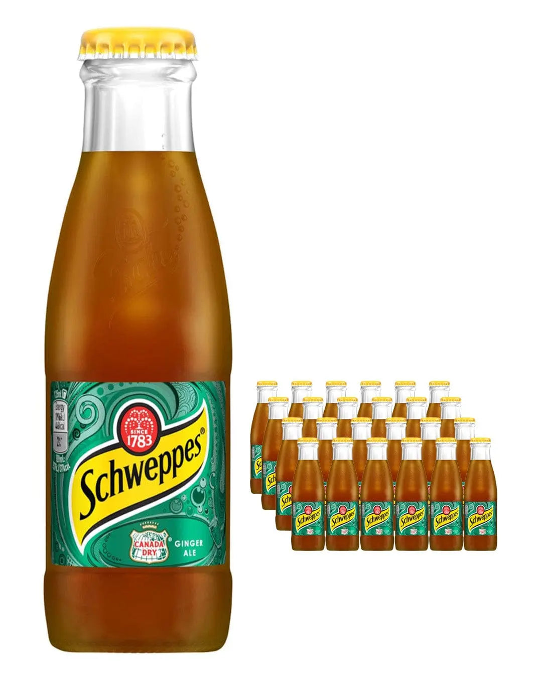 Schweppes Canadian Dry Ginger Ale Multipack, 24 x 125 ml Soft Drinks & Mixers