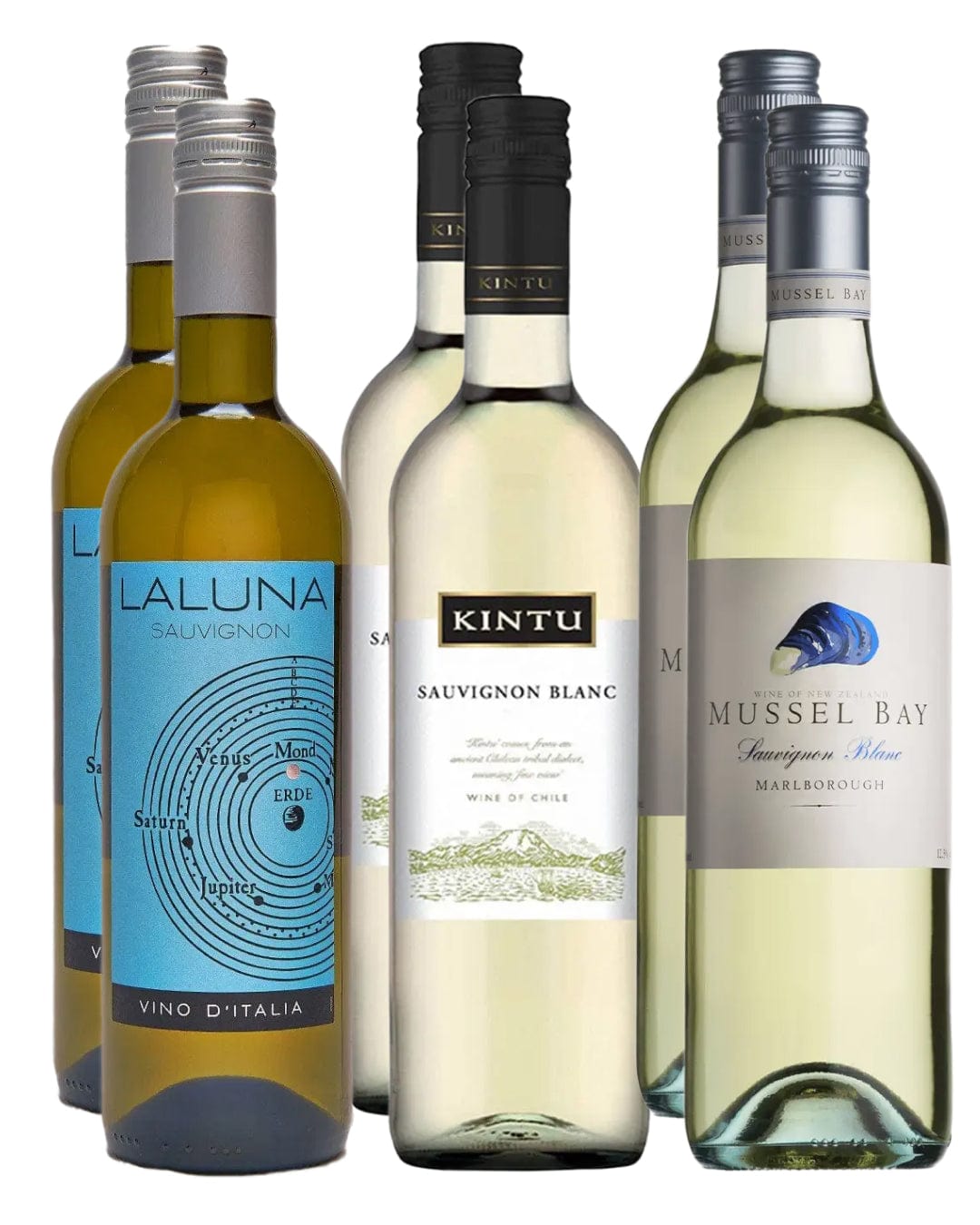 Silky Sauvignon Case, 6 x 75 cl White Wine